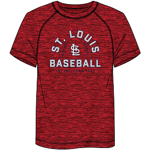 St. Louis Cardinals Heatherd T-Shirt - Fanatics