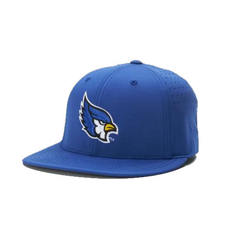 Liberty Blue Jays Headwear
