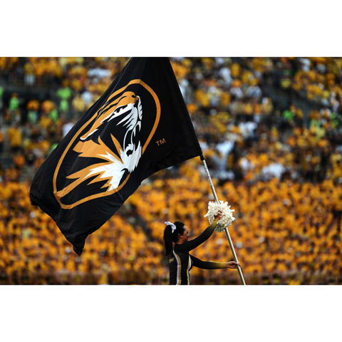 Tigers Flags & Banners