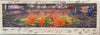 Kansas City Chiefs LVII TEAM SIGNED Panorama - BECKETT