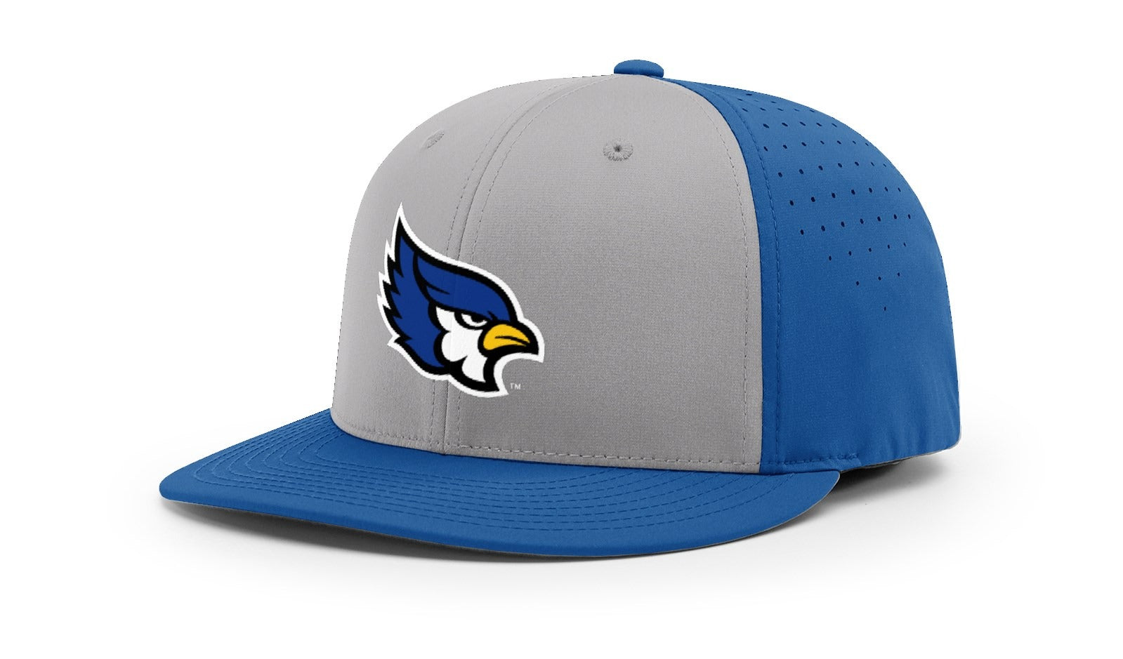 grey blue jays fitted