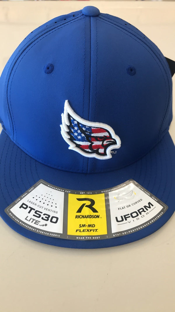 Liberty Blue Jays PTS30 American Flag Logo Stretch Fit Hat by Richardson