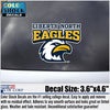Liberty North Eagles Color Shock Decal